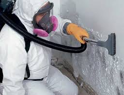 Mold Documentation for Insurance Claims in Basalt, CO